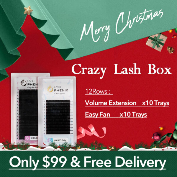 christmas crazy lash box